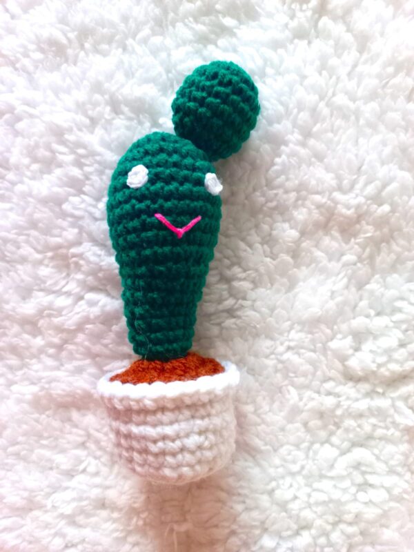 Cactus handmade woolen decoration pieces for toilet, kitchen and room - Image 2