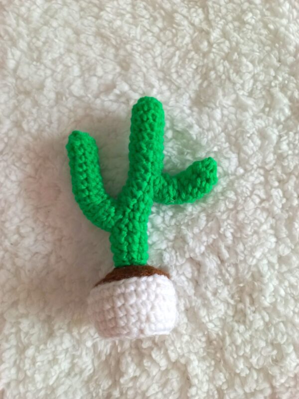 Cactus handmade woolen decoration pieces for toilet, kitchen and room - Image 8