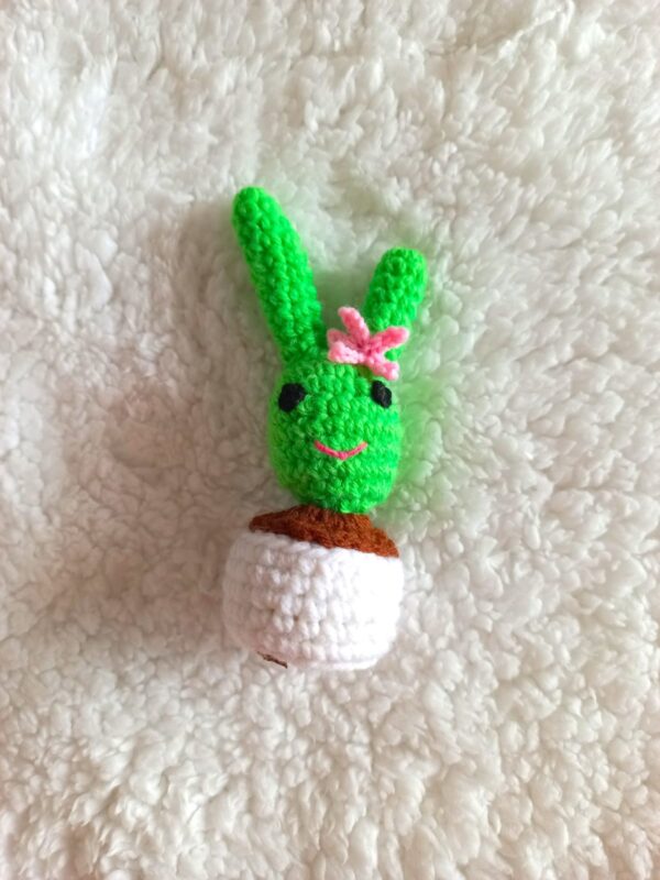 Cactus handmade woolen decoration pieces for toilet, kitchen and room - Image 5